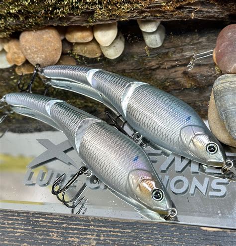 Target Trophy Fish with the Irresistible Sebile Magic Swimmer 125 Chrome